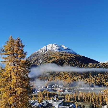 Ferienwohnung Pontresina - Chesa Andrea - Gartensitzplatz Exteriér fotografie