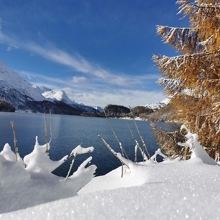 Ferienwohnung Pontresina - Chesa Andrea - Gartensitzplatz Exteriér fotografie