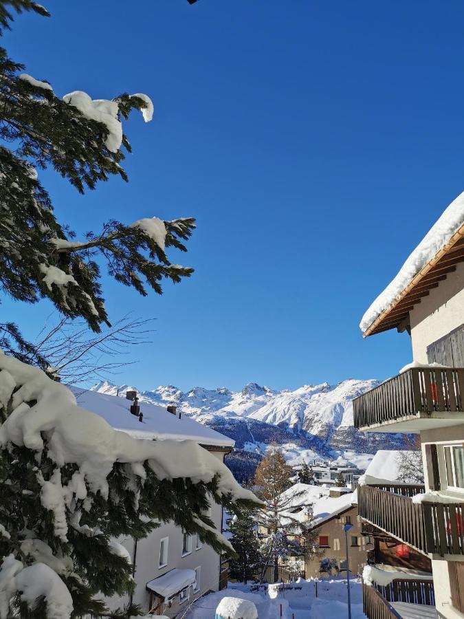 Ferienwohnung Pontresina - Chesa Andrea - Gartensitzplatz Exteriér fotografie