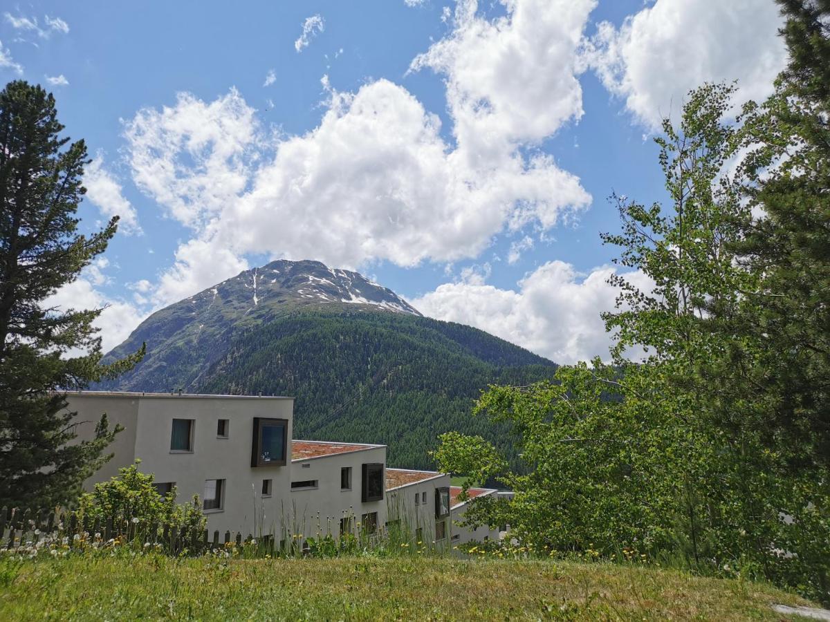 Ferienwohnung Pontresina - Chesa Andrea - Gartensitzplatz Exteriér fotografie