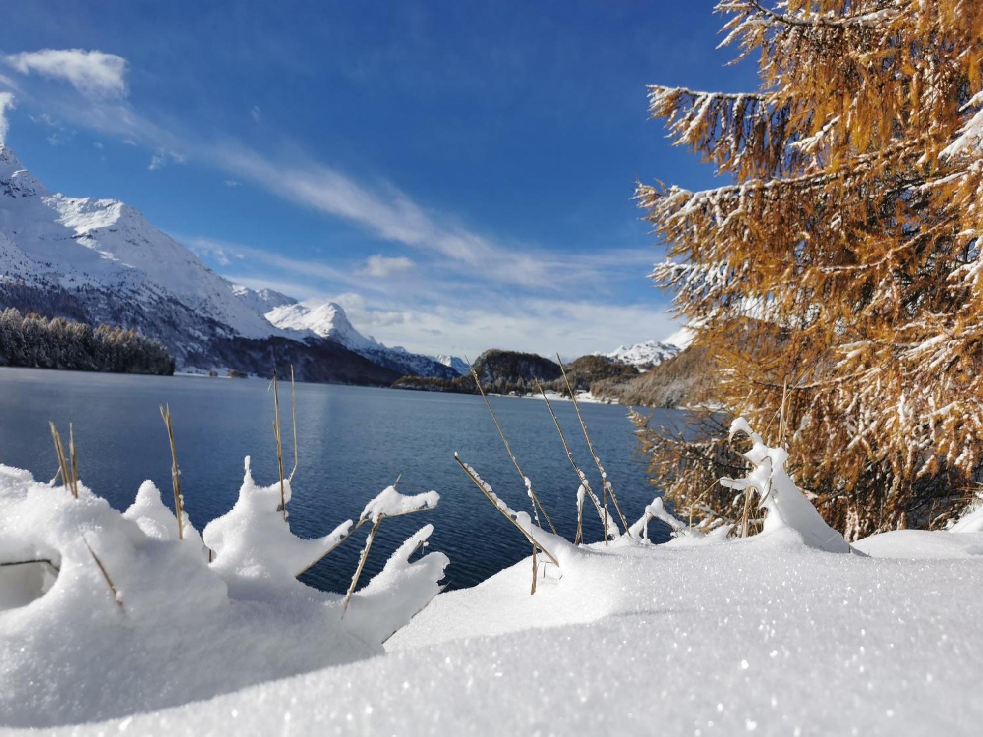 Ferienwohnung Pontresina - Chesa Andrea - Gartensitzplatz Exteriér fotografie